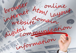 AYX SPORTS-NBA球队品牌建设及粉丝忠诚度培养研究,nba球员粉丝数排名