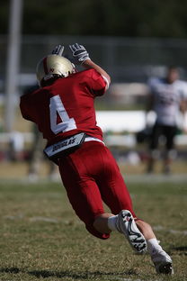 -NBA球队国际市场拓展,nba开放球队国际营销权益,各队终可独自吸金