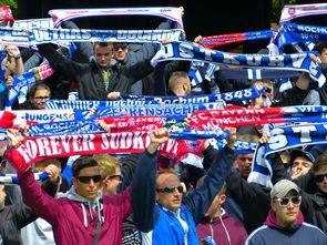 爱游戏下载-中国足球球迷文化影响力分析,中国的足球迷现在真的感到很迷茫