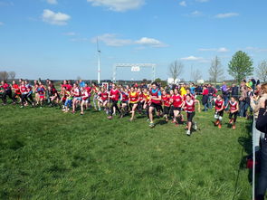 爱游戏平台-青少年体育社团活动对身心发展的促进作用，体育社团对学生的影响