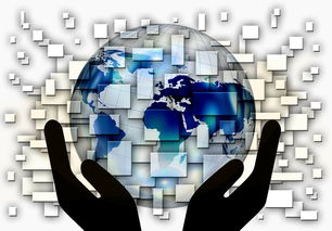 爱游戏在线娱乐官网-国家滑板协会公布全国青少年排名更新机制，国家滑板队训练中心