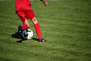 爱游戏下载-中国足球俱乐部实行青训成绩与一线队晋升挂钩制度,中国足球青训搞得比较好的球队